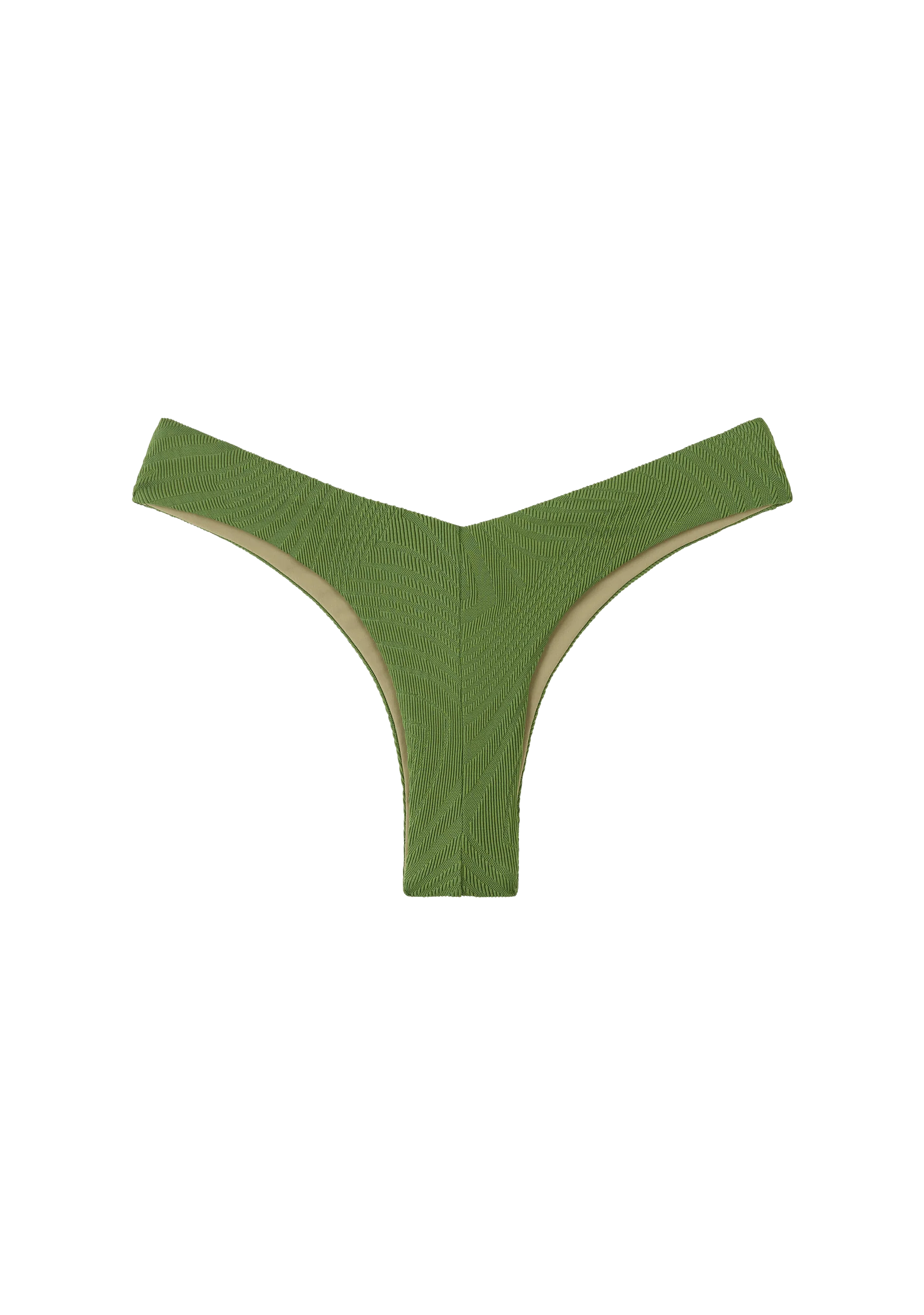 Chad Bottom | Cactus