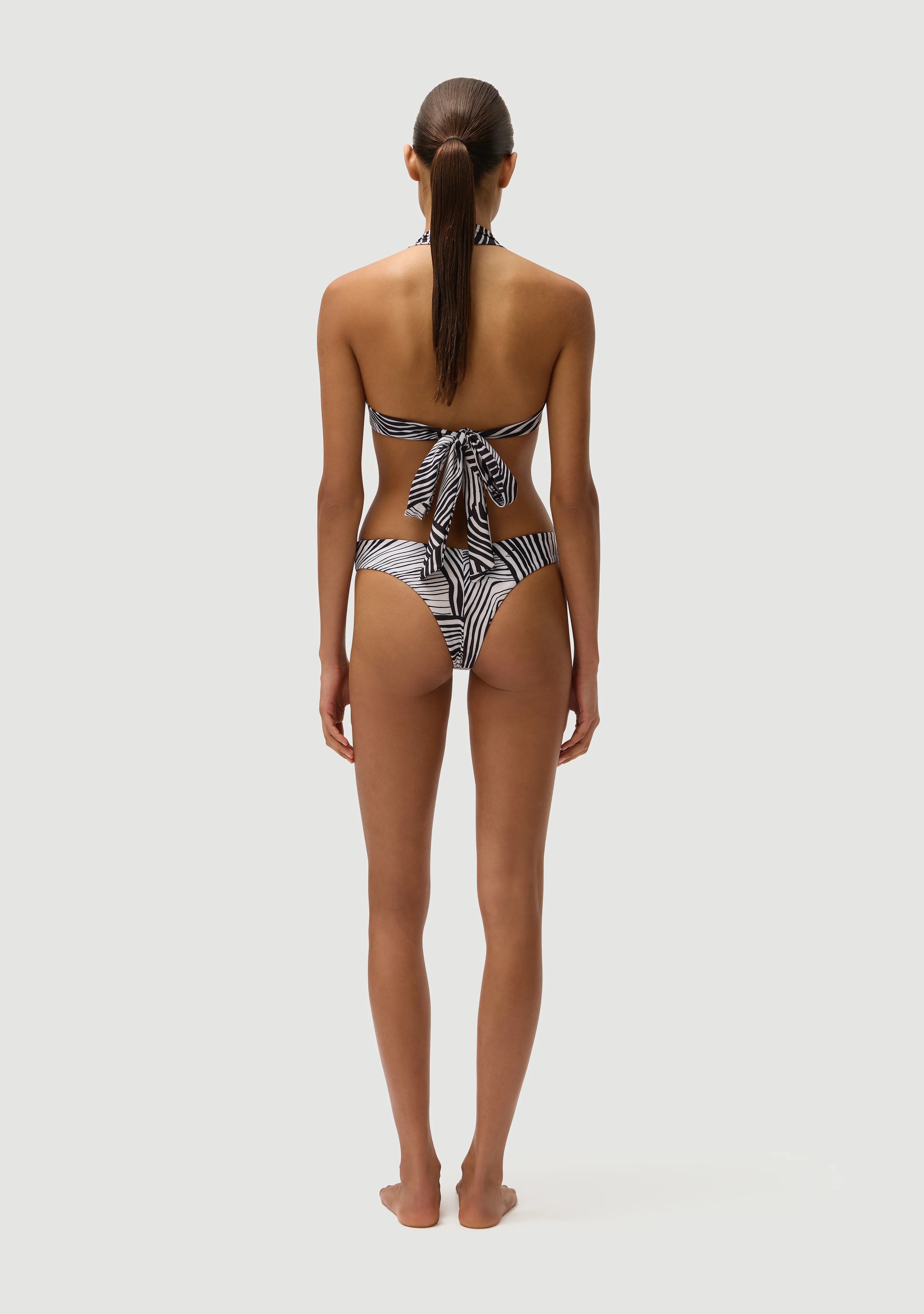 Chad Bottom | Zebra - Image 5