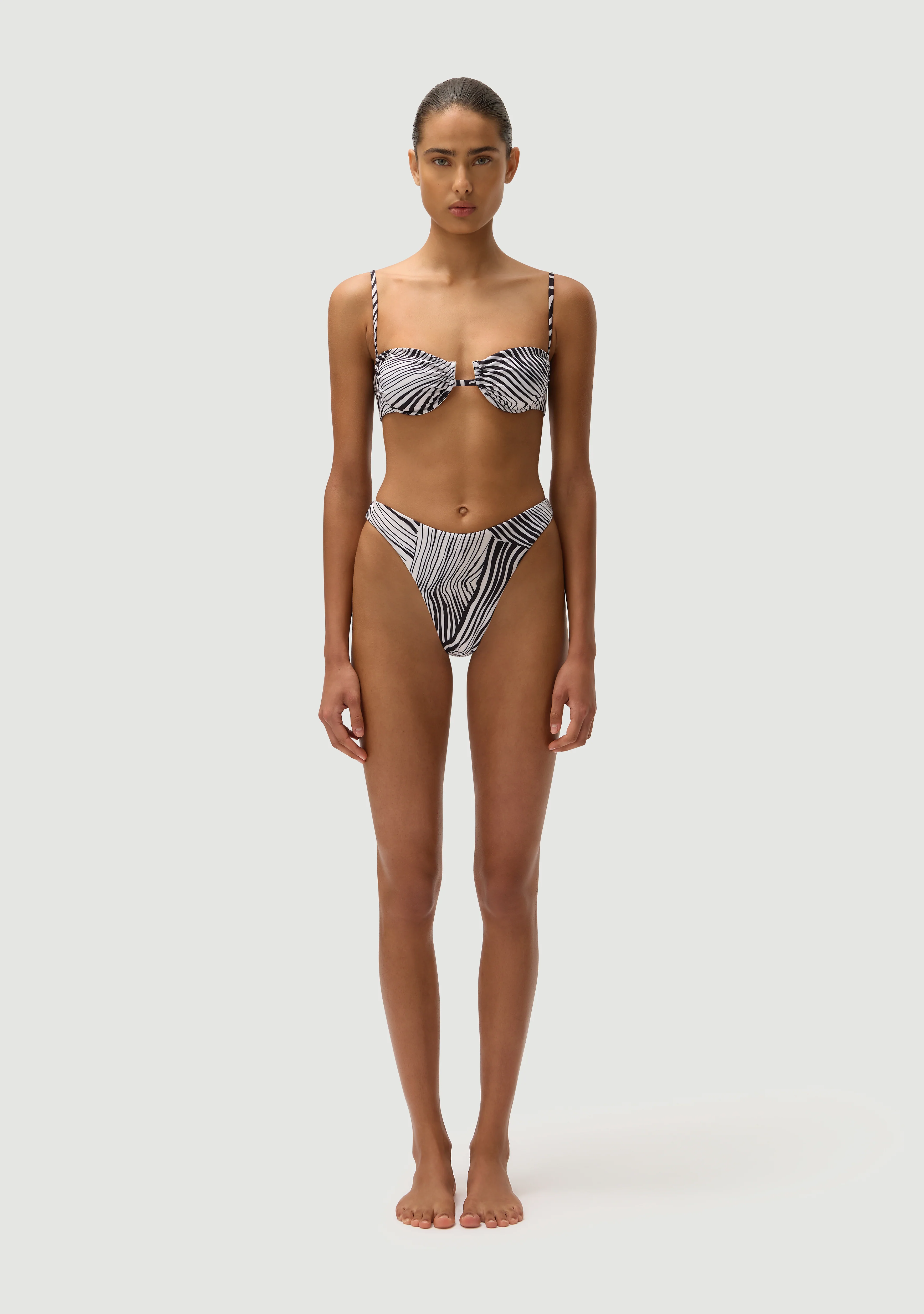Corey Bottom | Zebra - Image 2