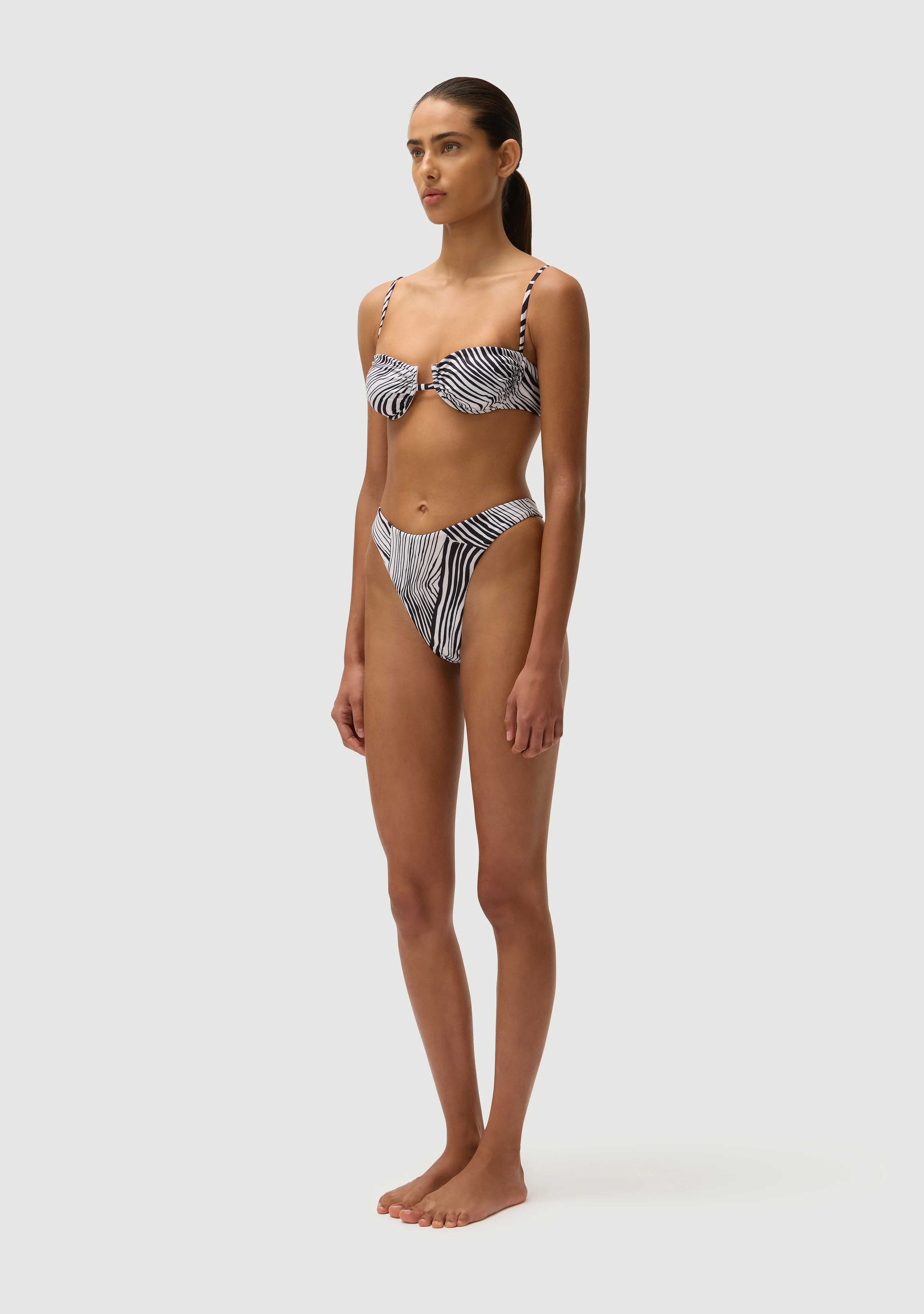 Corey Bottom | Zebra - Image 3