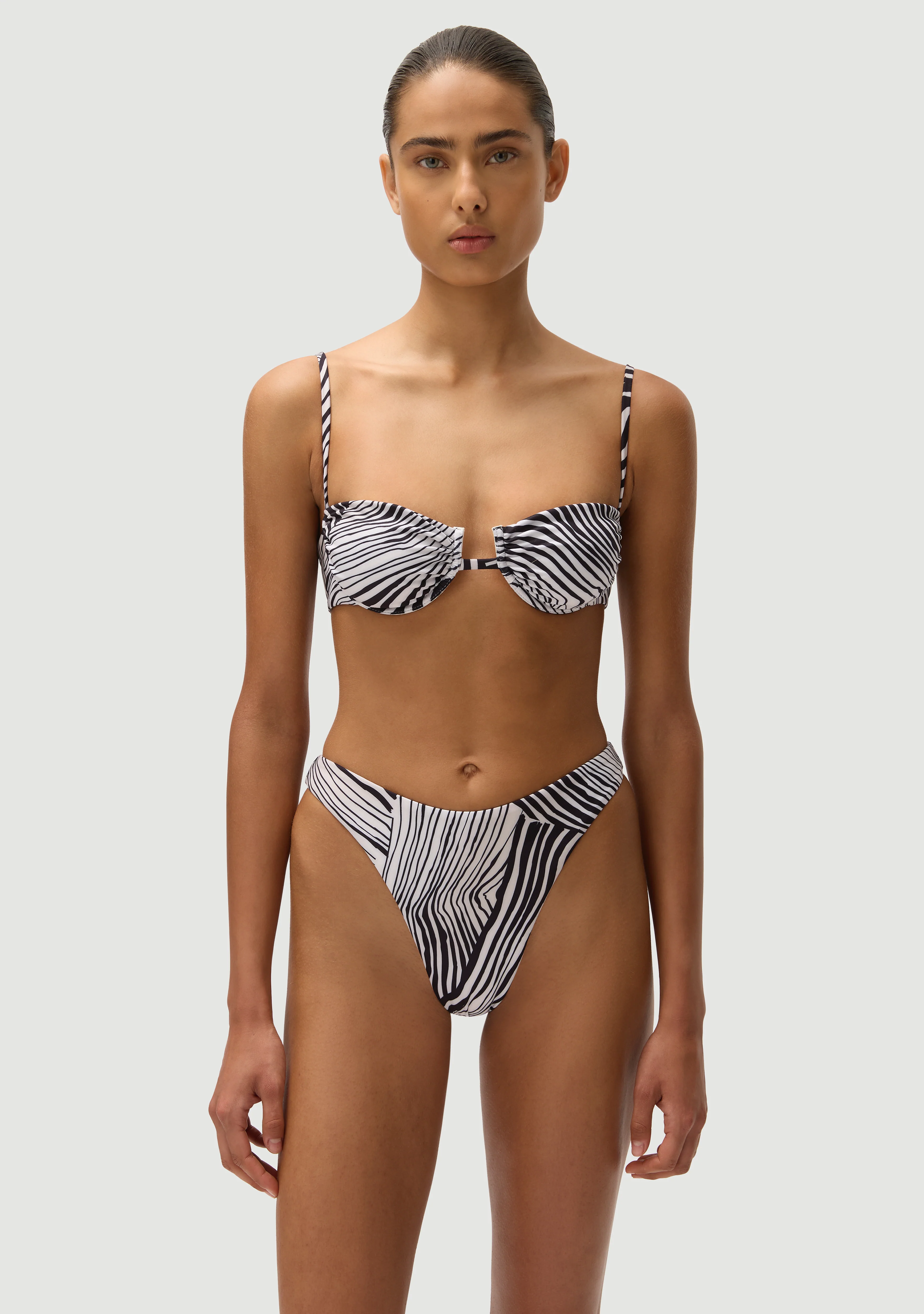 Corey Bottom | Zebra - Image 4