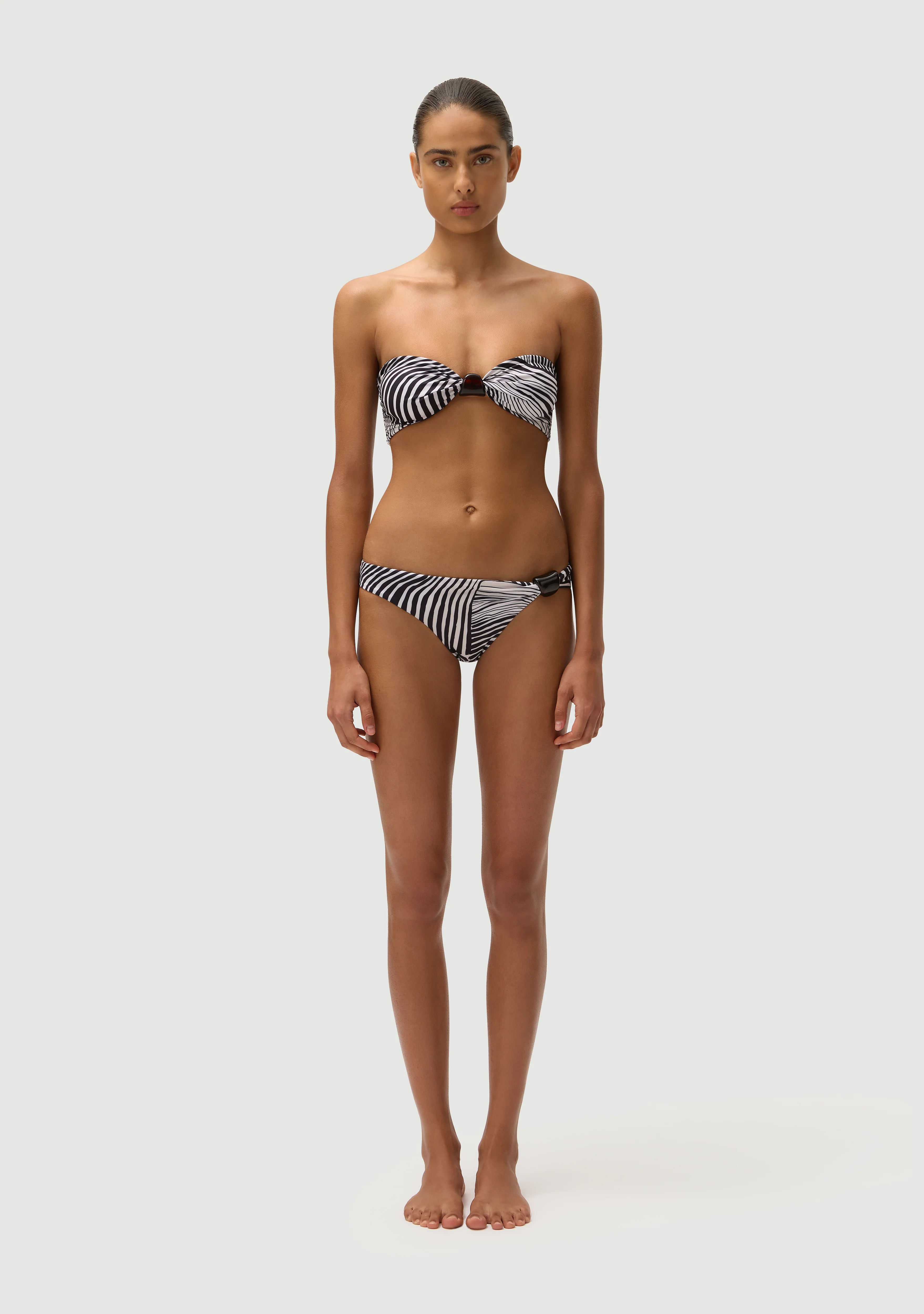 Digby Bottom | Zebra - Image 2