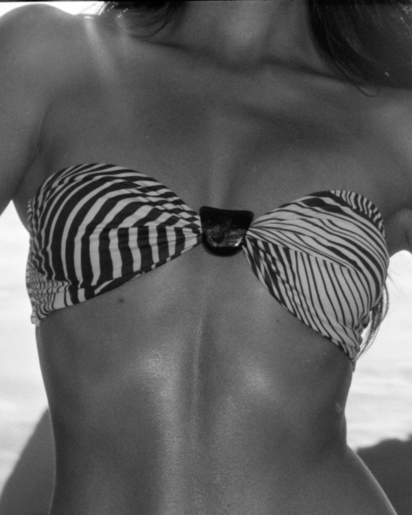 Eli Top | Zebra - Image 7