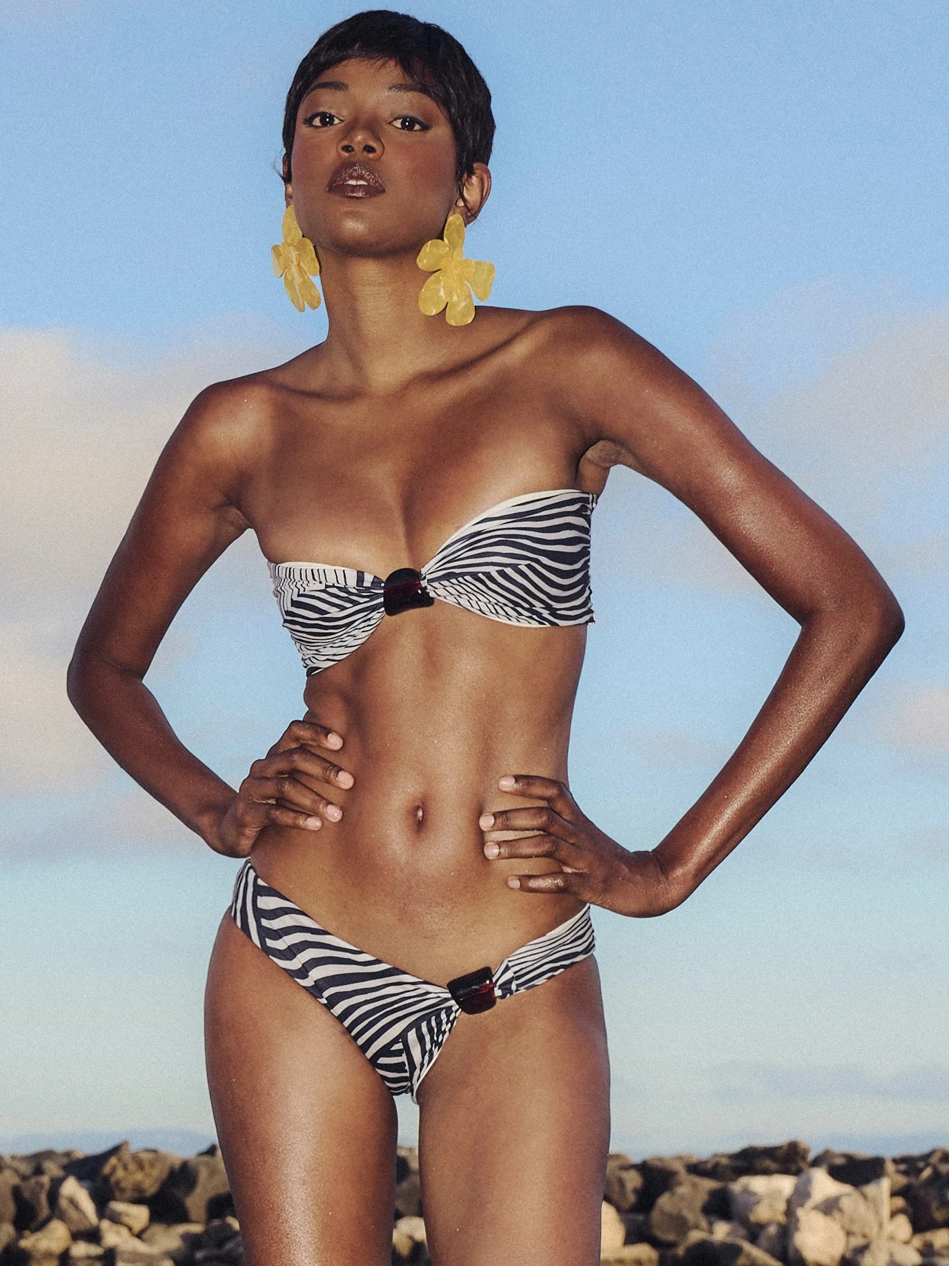 Eli Top | Zebra - Image 9